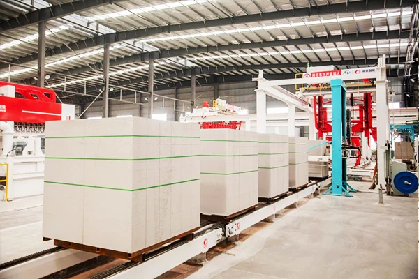 Chain Conveyor